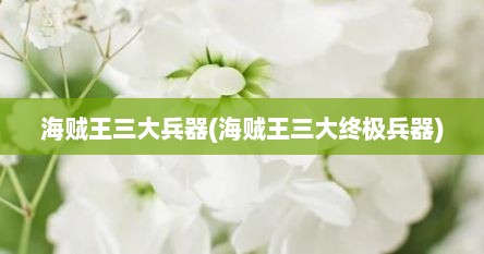 海贼王三大兵器(海贼王三大终极兵器)