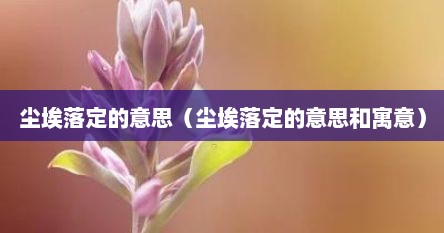尘埃落定的意思（尘埃落定的意思和寓意）