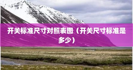 开关尺寸是不是都是一样的（开关规格格式示例）