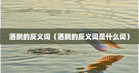 洒脱的反义词（洒脱的反义词是什么词）