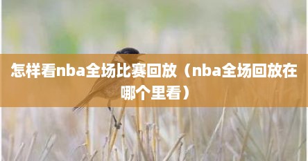 怎样看nba全场比赛回放（nba全场回放在哪个里看）