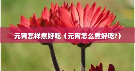 元宵怎样煮好吃（元宵怎么煮好吃?）