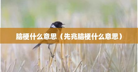 脑梗什么意思（先兆脑梗什么意思）