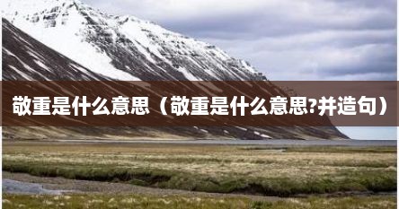 敬重是什么意思（敬重是什么意思?并造句）