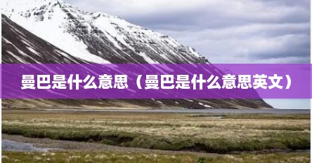 曼巴是什么意思（曼巴是什么意思英文）