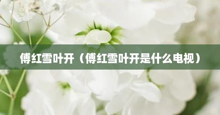 傅红雪叶开（傅红雪叶开是什么电视）