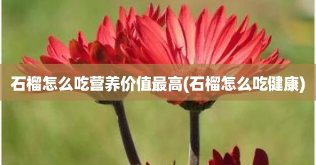 石榴怎么吃营养价值最高(石榴怎么吃健康)