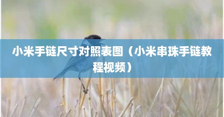 小米手链尺寸对照表图（小米串珠手链教程视频）