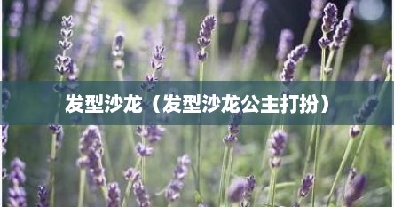 发型沙龙（发型沙龙公主打扮）