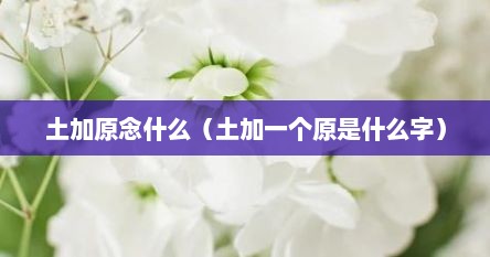 土加原念什么（土加一个原是什么字）