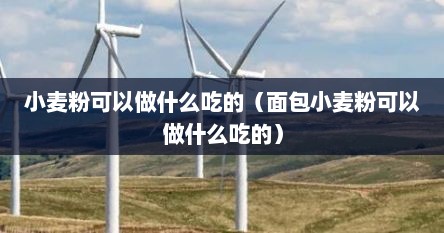 小麦粉可以做什么吃的（面包小麦粉可以做什么吃的）