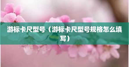 游标卡尺型号（游标卡尺型号规格怎么填写）
