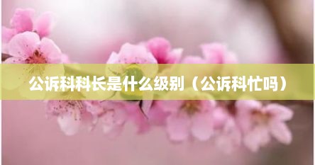 公诉科科长是什么级别（公诉科忙吗）
