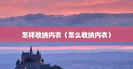 怎样收纳内衣（怎么收纳内衣）