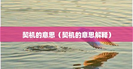 契机的意思（契机的意思解释）