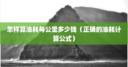 怎样算油耗每公里多少钱（正确的油耗计算公式）