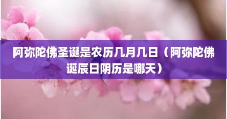 阿弥陀佛圣诞是农历几月几日（阿弥陀佛诞辰日阴历是哪天）