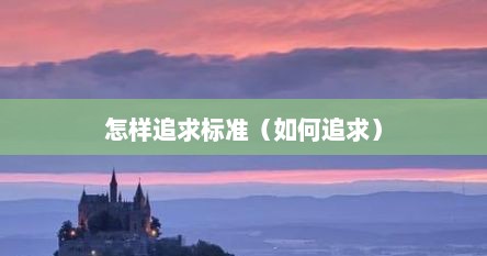 怎样追求标准（如何追求）