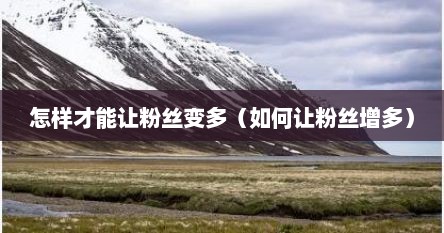 怎样才能让粉丝变多（如何让粉丝增多）