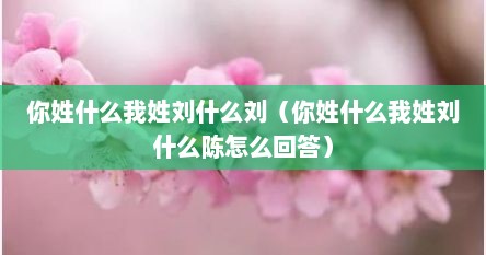 你姓什么我姓刘什么刘（你姓什么我姓刘什么陈怎么回答）