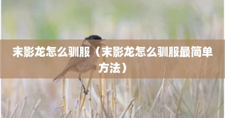 末影龙怎么驯服（末影龙怎么驯服最简单方法）