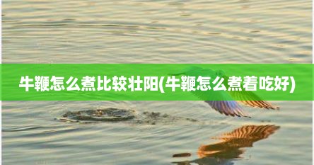牛鞭怎么煮比较壮阳(牛鞭怎么煮着吃好)