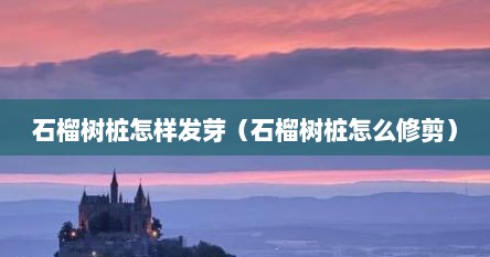 石榴树桩怎样发芽（石榴树桩怎么修剪）