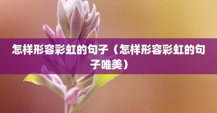 怎样形容彩虹的句子（怎样形容彩虹的句子唯美）