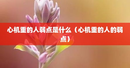心机重的人弱点是什么（心机重的人的弱点）