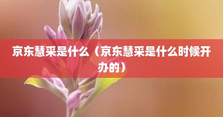 京东慧采是什么（京东慧采是什么时候开办的）