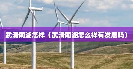 武清南湖怎样（武清南湖怎么样有发展吗）