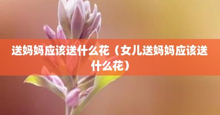 女生送妈妈什么花（女儿送妈妈什么花合适过生日）