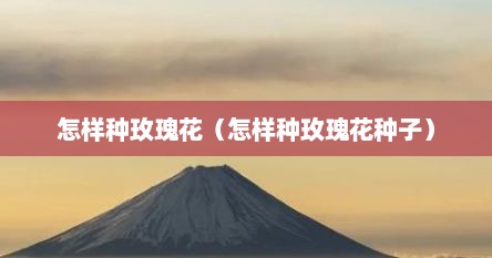 怎样种玫瑰花（怎样种玫瑰花种子）