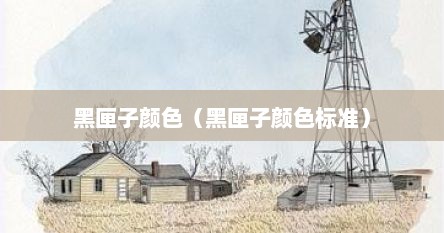 黑匣子颜色（黑匣子颜色标准）