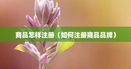 商品怎样注册（如何注册商品品牌）
