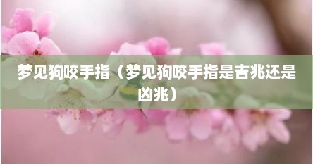 梦见狗咬手指（梦见狗咬手指是吉兆还是凶兆）