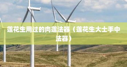 莲花生用过的肉莲法器（莲花生大士手中法器）