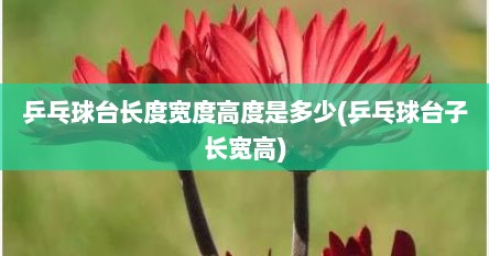 乒乓球台长度宽度高度是多少(乒乓球台子长宽高)