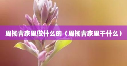 周扬青家里做什么的（周扬青家里干什么）