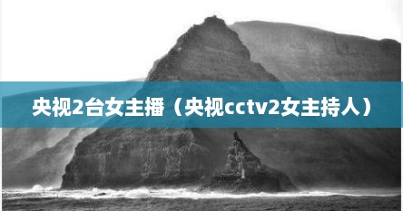 央视2台女主播（央视cctv2女主持人）