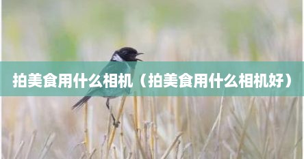 拍美食用什么相机（拍美食用什么相机好）