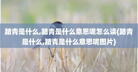 踏青是什么,踏青是什么意思呢怎么读(踏青是什么,踏青是什么意思呢图片)