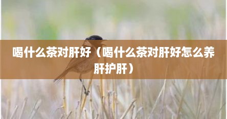 喝什么茶对肝好（喝什么茶对肝好怎么养肝护肝）