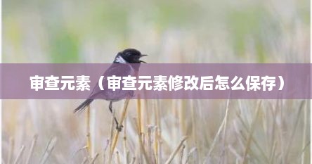 审查元素（审查元素修改后怎么保存）