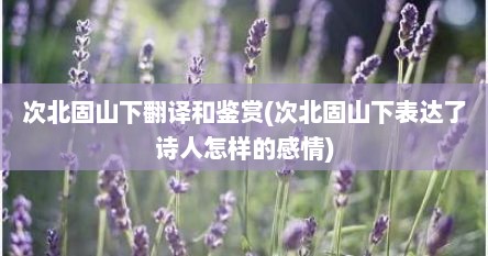 次北固山下翻译和鉴赏(次北固山下表达了诗人怎样的感情)