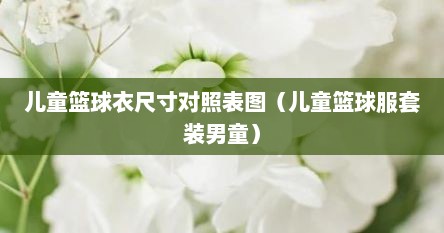 儿童篮球衣尺寸对照表图（儿童篮球服套装男童）