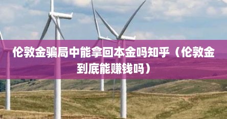 伦敦金骗局中能拿回本金吗知乎（伦敦金到底能赚钱吗）