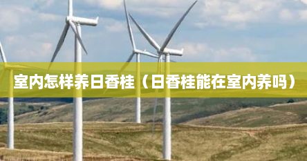 室内怎样养日香桂（日香桂能在室内养吗）