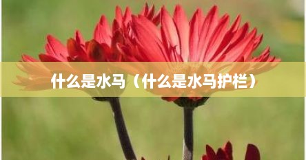 什么是水马（什么是水马护栏）
