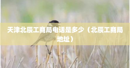 天津北辰工商局电话是多少（北辰工商局地址）